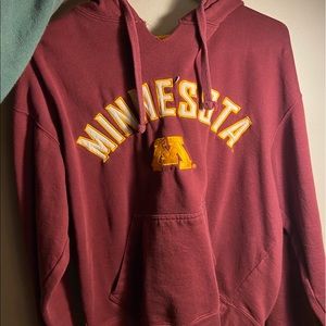 Classic Minnesota College Hoodie